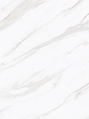 Saint Blanc Belly White