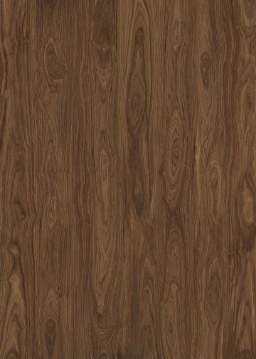 Black Walnut Wood